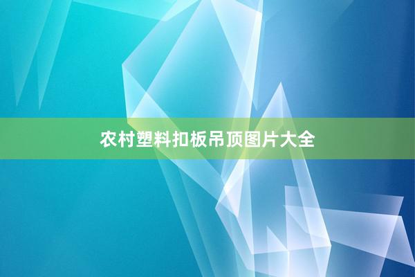 农村塑料扣板吊顶图片大全